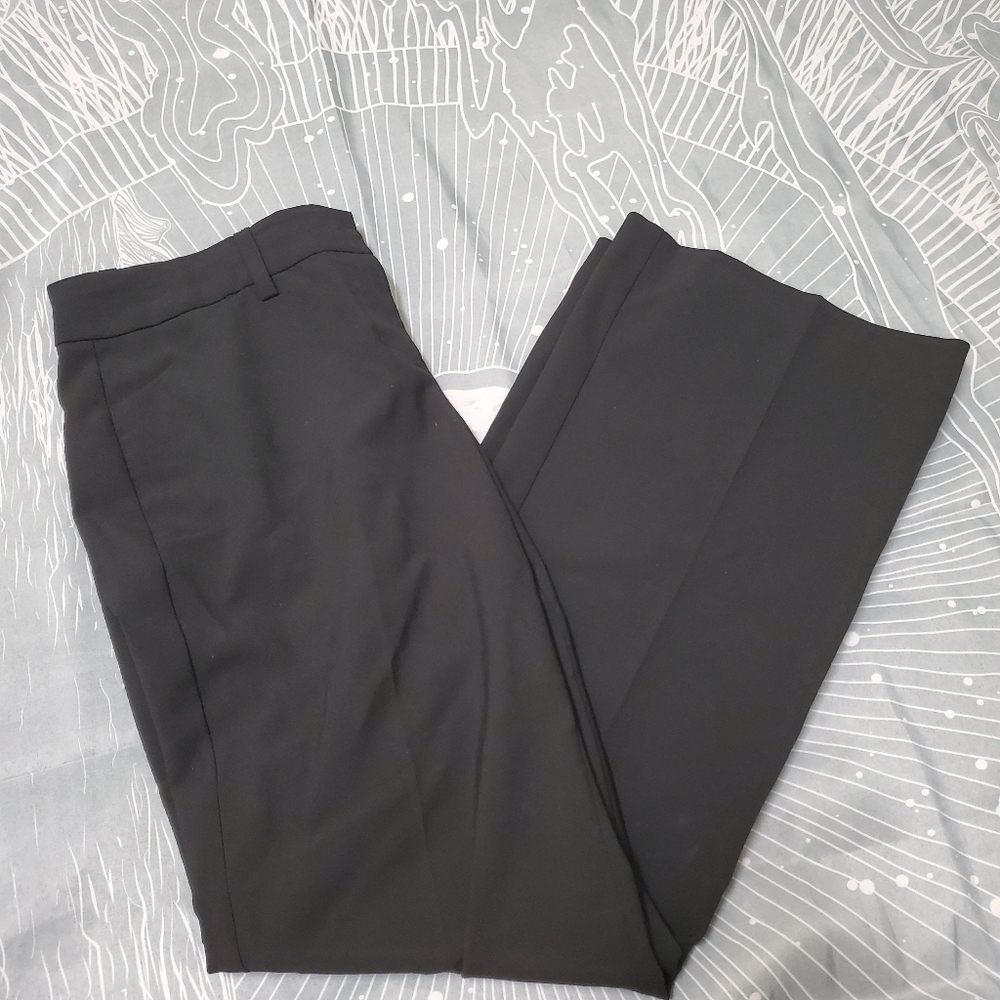 Express Editor Pants, Size 2